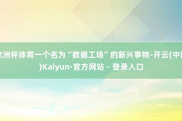 欧洲杯体育一个名为“数据工场”的新兴事物-开云(中国)Kaiyun·官方网站 - 登录入口