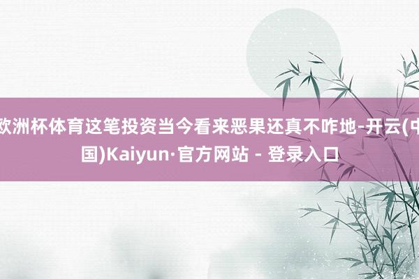 欧洲杯体育这笔投资当今看来恶果还真不咋地-开云(中国)Kaiyun·官方网站 - 登录入口