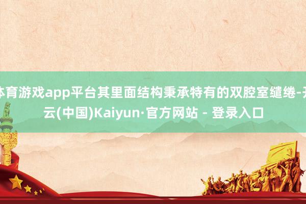 体育游戏app平台其里面结构秉承特有的双腔室缱绻-开云(中国)Kaiyun·官方网站 - 登录入口