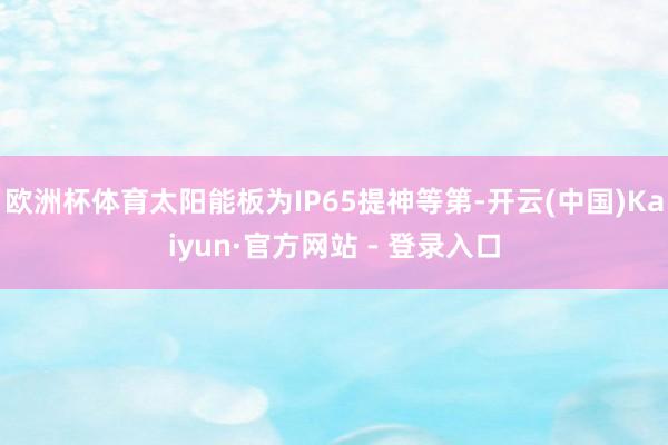 欧洲杯体育太阳能板为IP65提神等第-开云(中国)Kaiyun·官方网站 - 登录入口