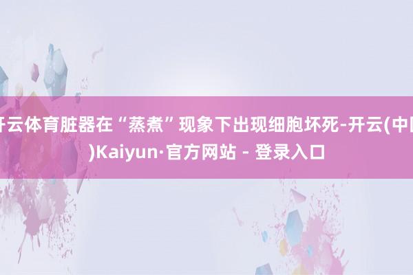 开云体育脏器在“蒸煮”现象下出现细胞坏死-开云(中国)Kaiyun·官方网站 - 登录入口