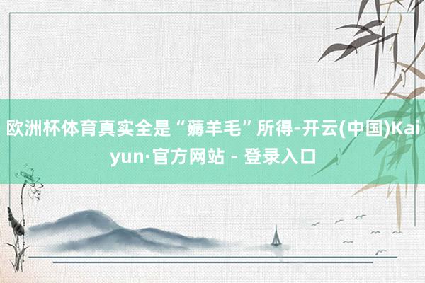 欧洲杯体育真实全是“薅羊毛”所得-开云(中国)Kaiyun·官方网站 - 登录入口