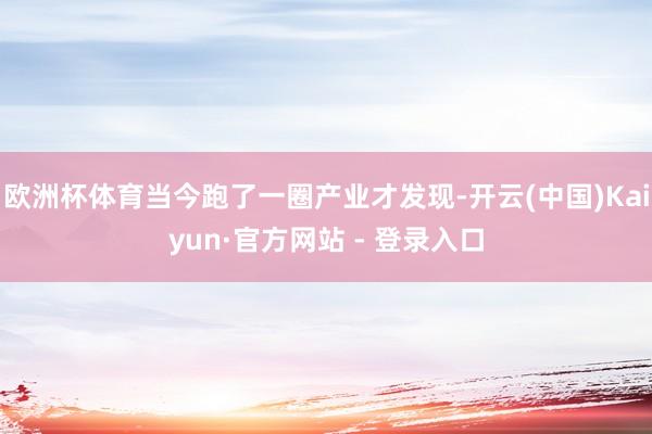 欧洲杯体育当今跑了一圈产业才发现-开云(中国)Kaiyun·官方网站 - 登录入口
